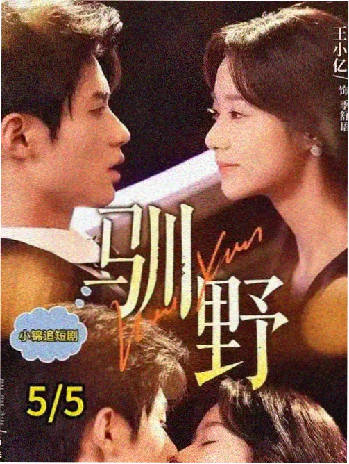 日剧电车上的陌生人海报
